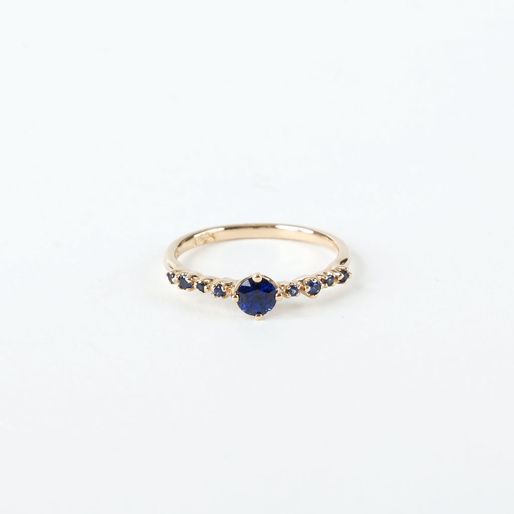 N + A - Blue Sapphire with Side Garland Ring - Size 5.5