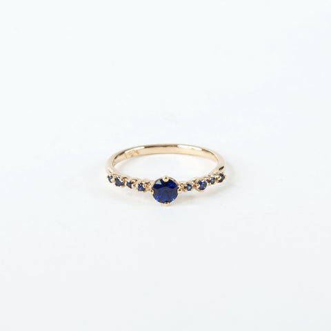 N + A - Blue Sapphire with Side Garland Ring
