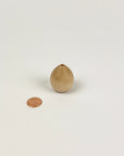 Small wooden vase next to a penny on a white background