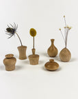 Set of small wooden vases with dried plants on a white background