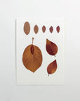 Leaf Card
