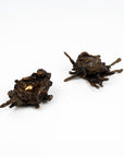 Anne Ricketts Sculptures - Nature Series - Nest