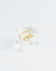 Clear cube with gold leaf on a white background