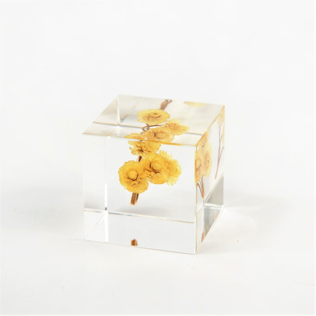 Sola Cubes - Botanicals