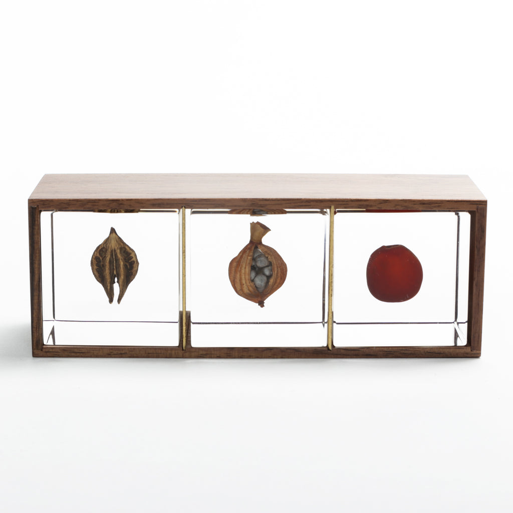 Sola Cube Display Box