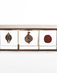 Sola Cube Display Box