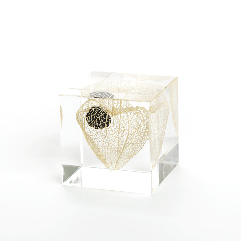 Sola Cubes - Chinese Lantern