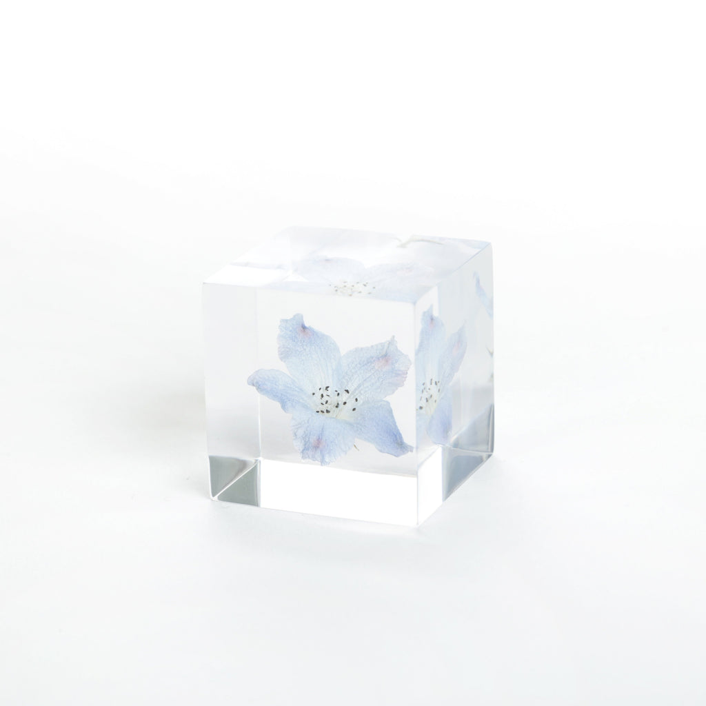 Sola Cubes - Siberian Larkspur
