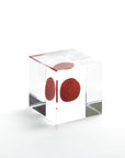 Sola Cubes - Botanicals