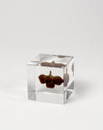 Sola Cubes - Botanicals