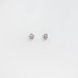 Liven Co. - Petite Pavé Earring Collection