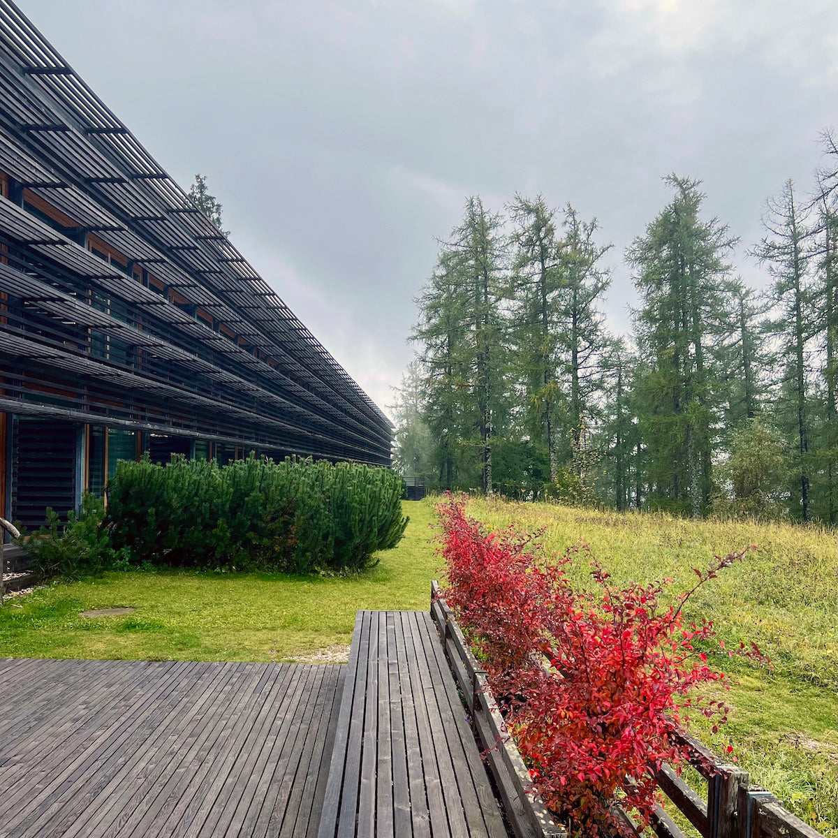 Only By Cable Car: Vigilius Mountain Resort