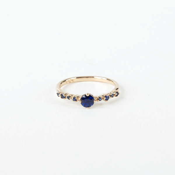 N + A Jewelry - Blue Sapphire with Side Garland Ring