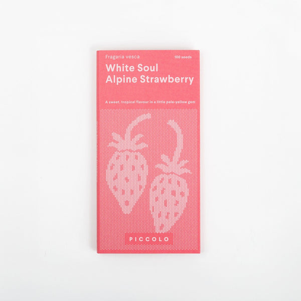 Piccolo Seeds - Alpine Strawberry White Soul