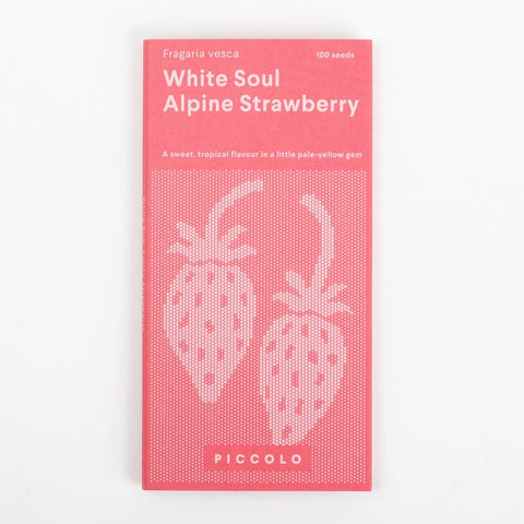 Piccolo Seeds - Alpine Strawberry White Soul