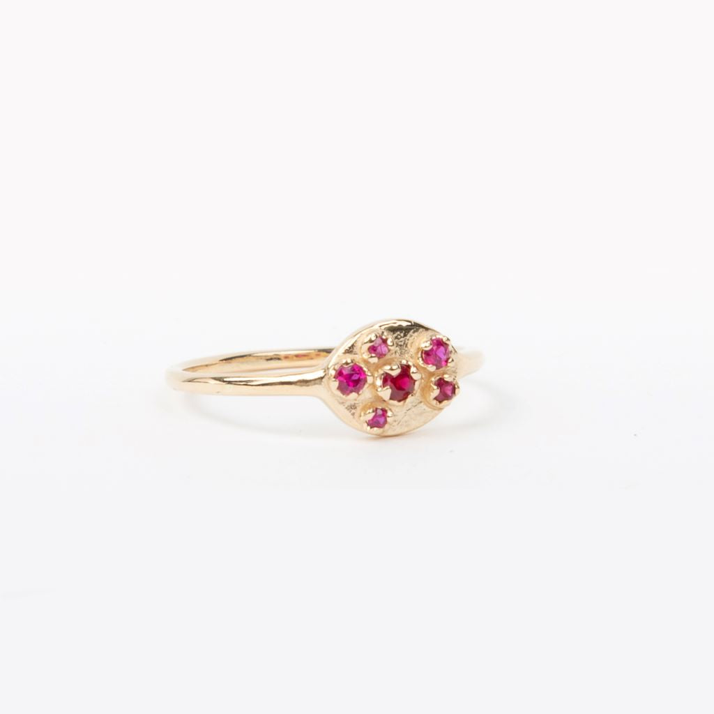 N + A - Shield Ring - Ruby