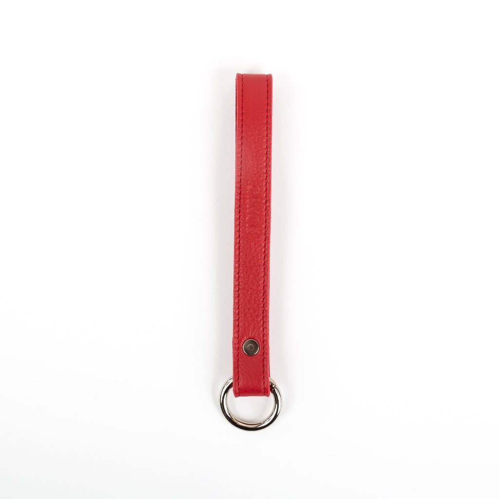 Key Keeper Springy Canoe Spring Gate Key Holder