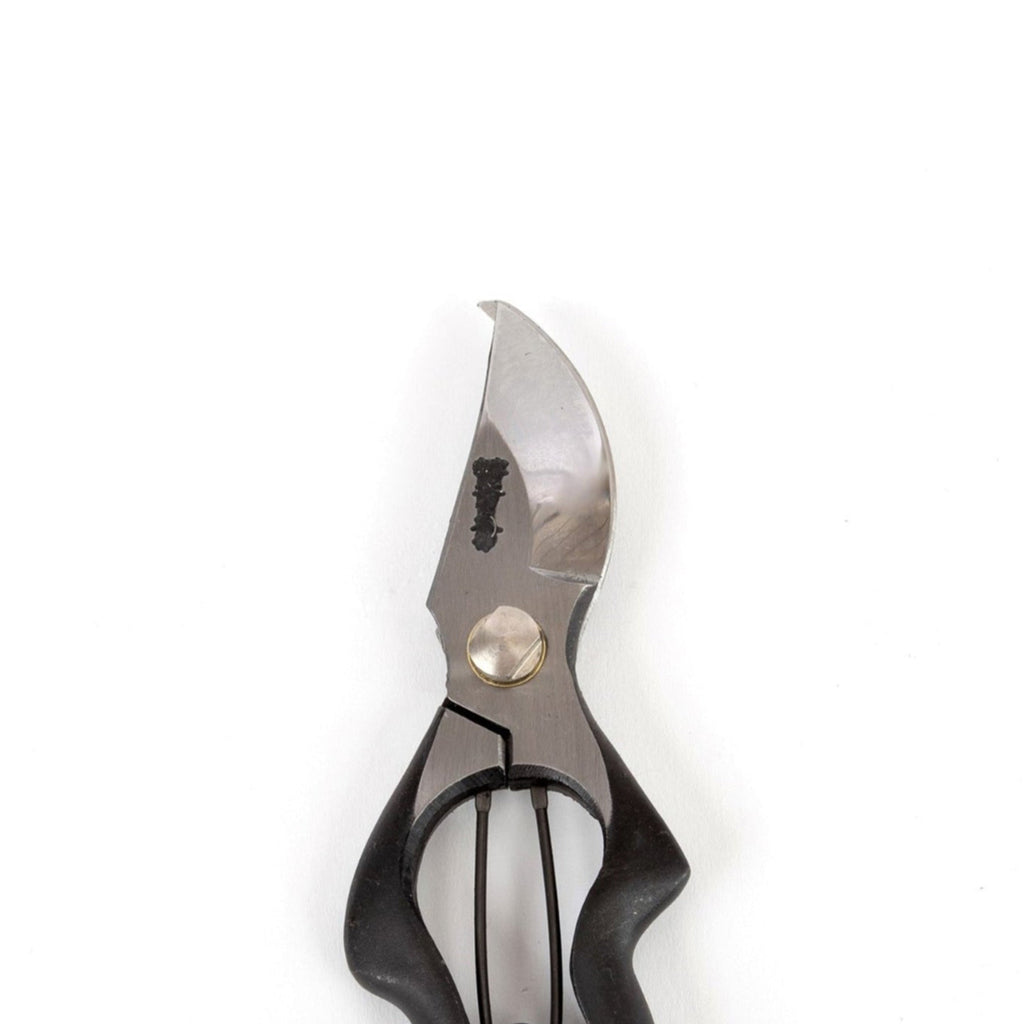 Sentei Garden Shears