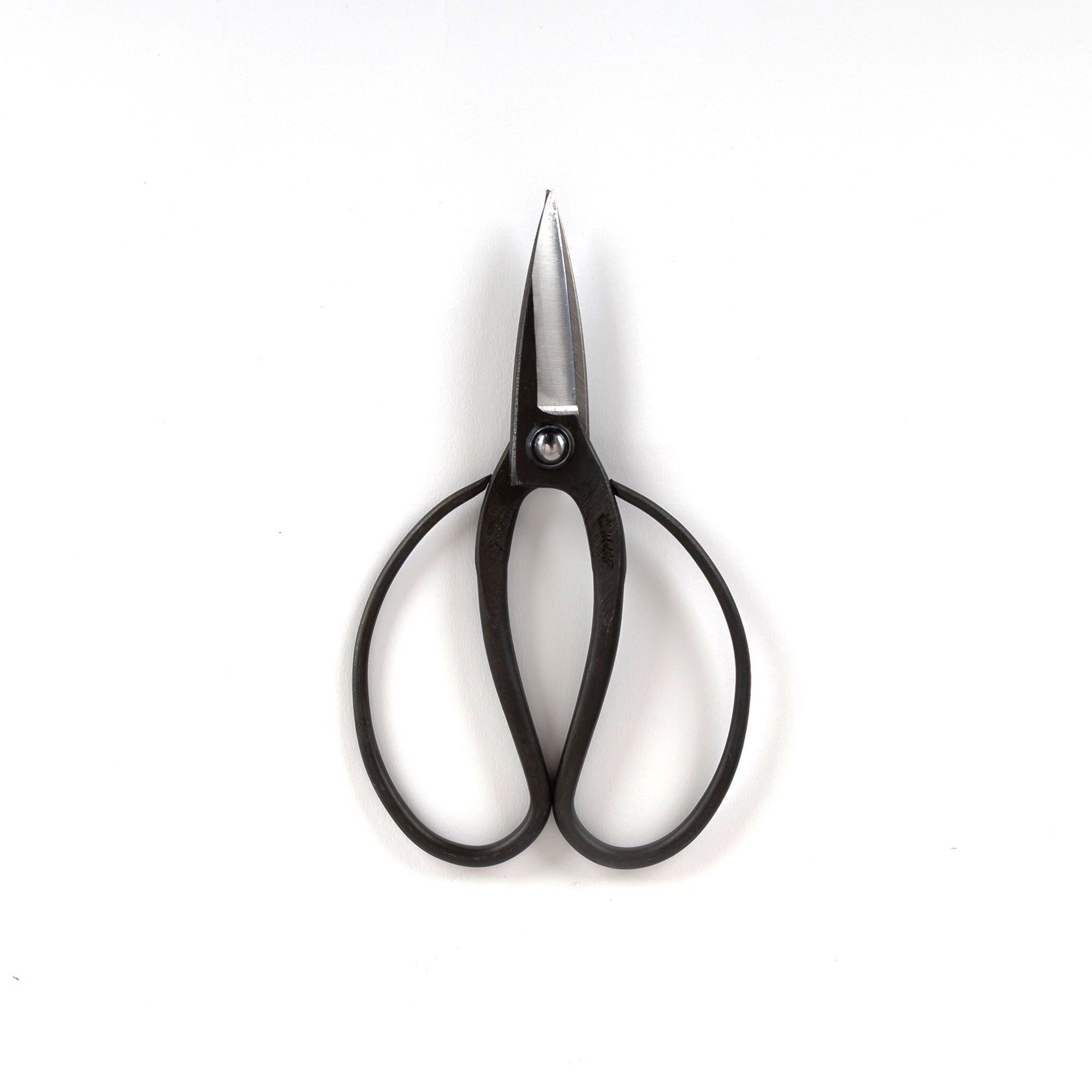A pair of black garden scissors with carbon steel blades and black plastic handles.