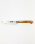 Knife with a wooden handle on a white background