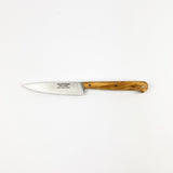 Knife with a wooden handle on a white background