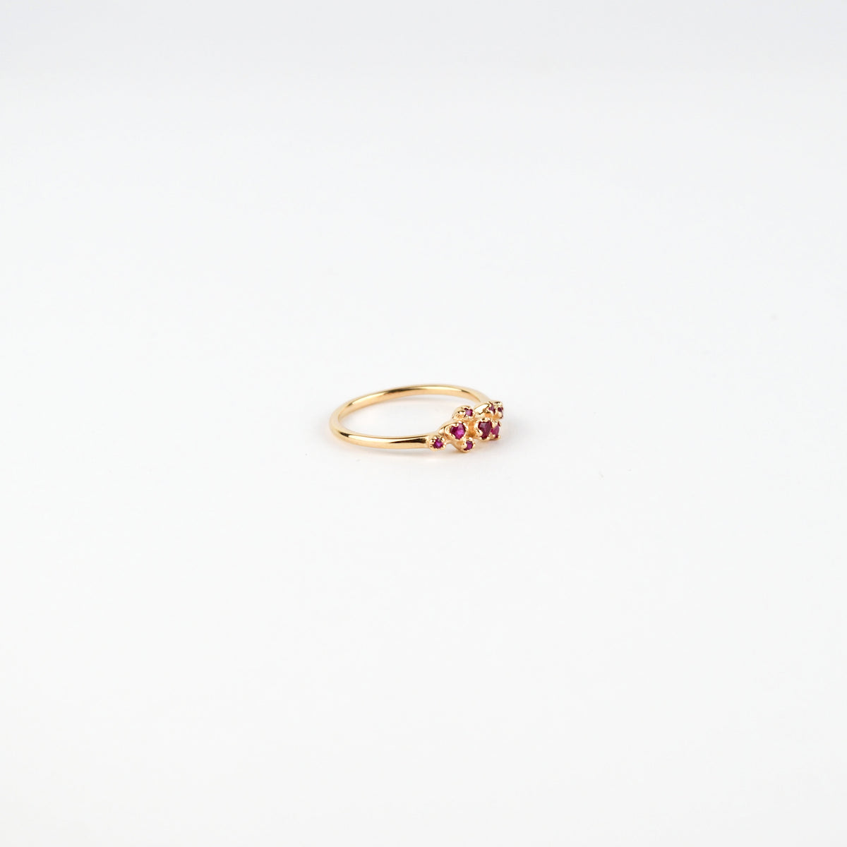 N + A - Rose Bush Ring with Ruby - Size 5.5