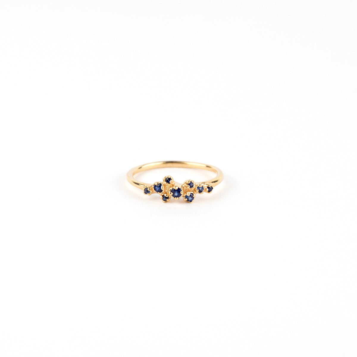 N + A - Rose Bush Ring with Blue Sapphire - Size 6.5