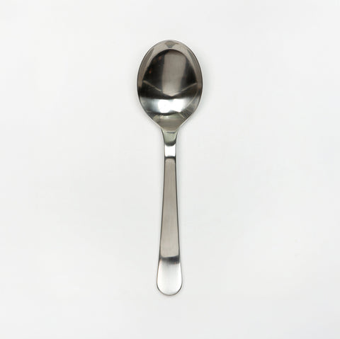 Stainless steel spoon on a white background