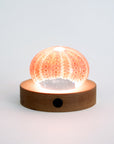 Light Base LED - Round