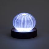 Light Base LED - Round