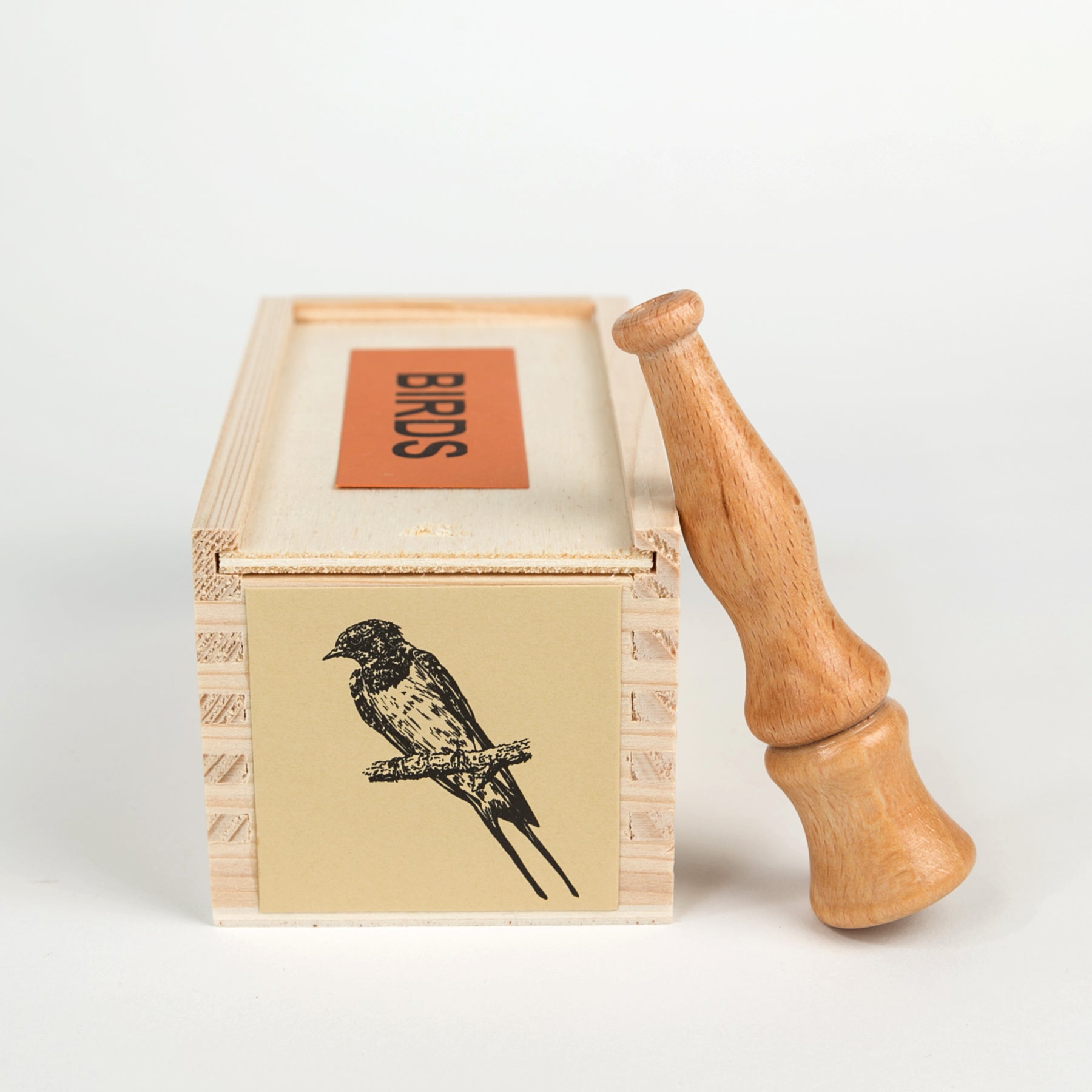swallow bird call