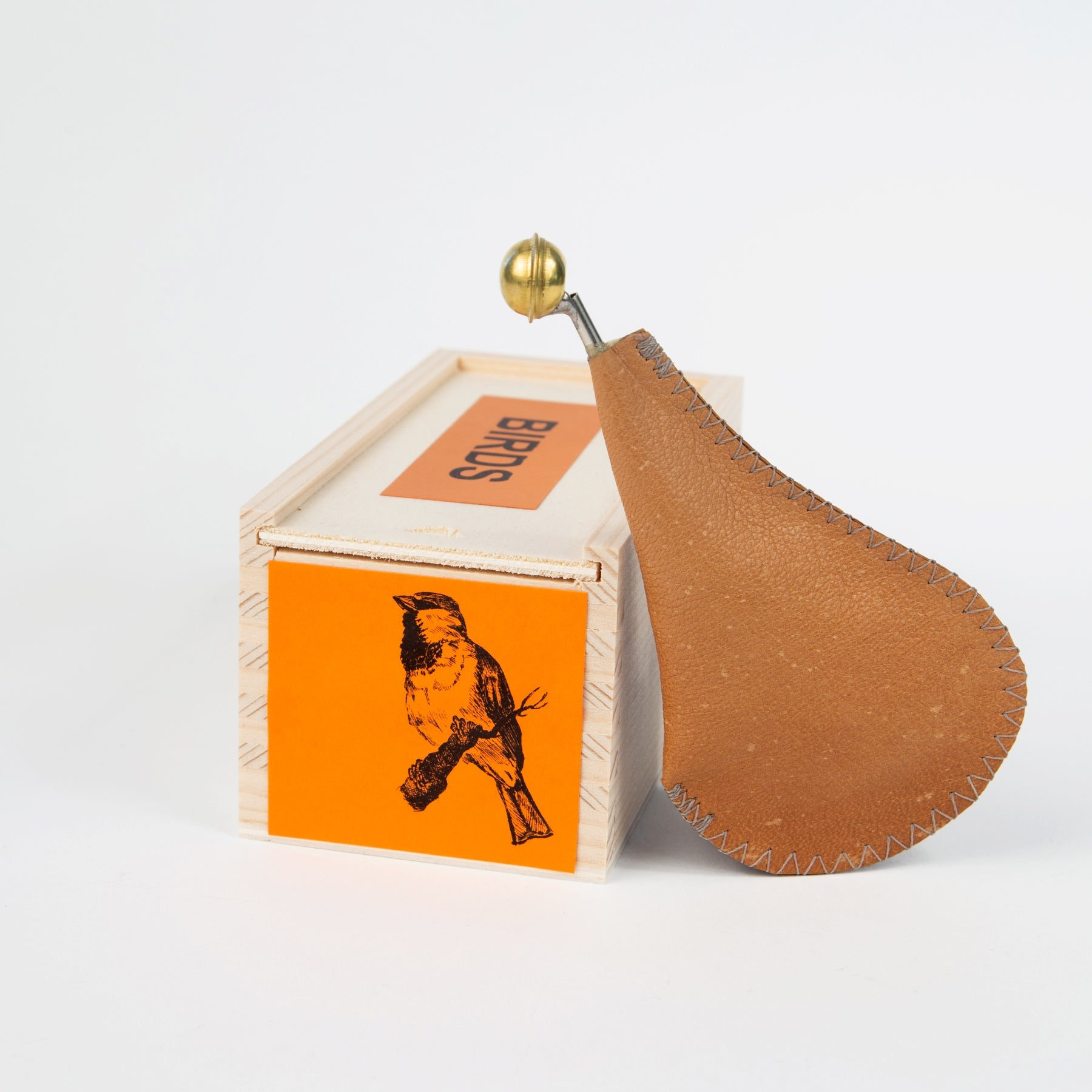 house sparrow bird call