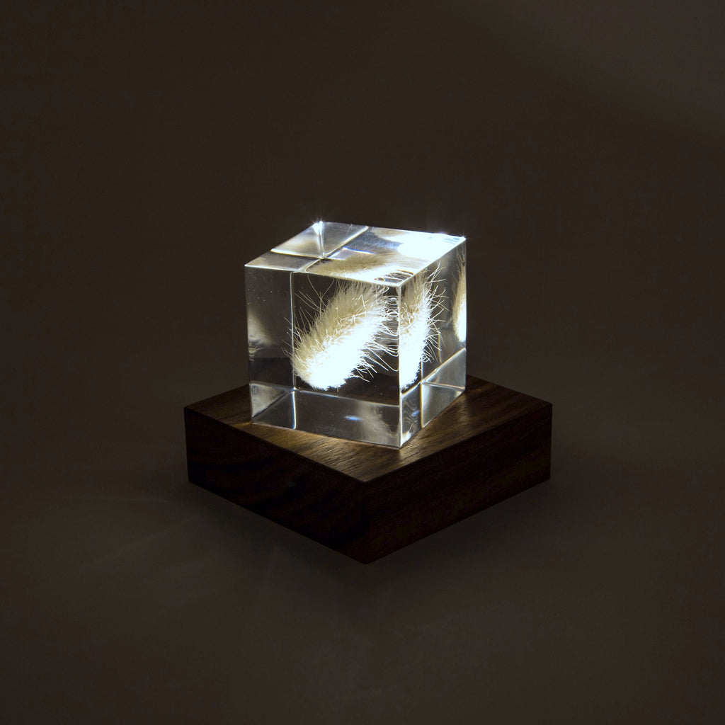 Light Base LED