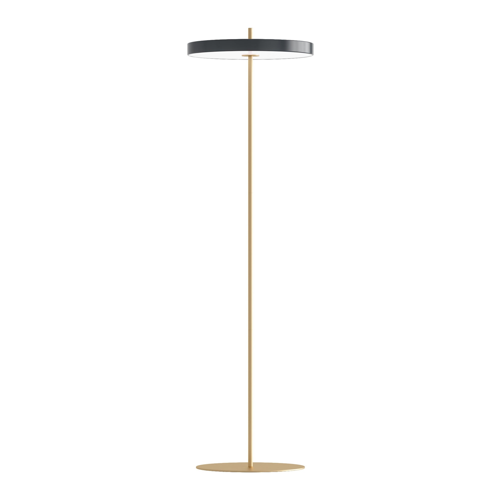 Modern floor lamp with dark grey shade and gold base on a white background