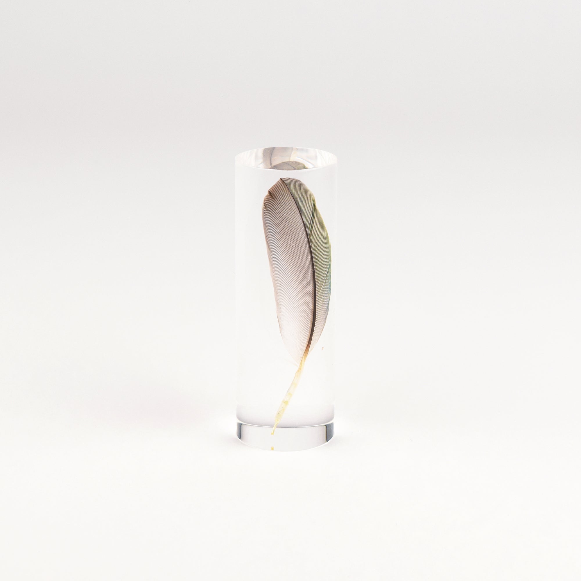 Sola Cylinders - Feathers