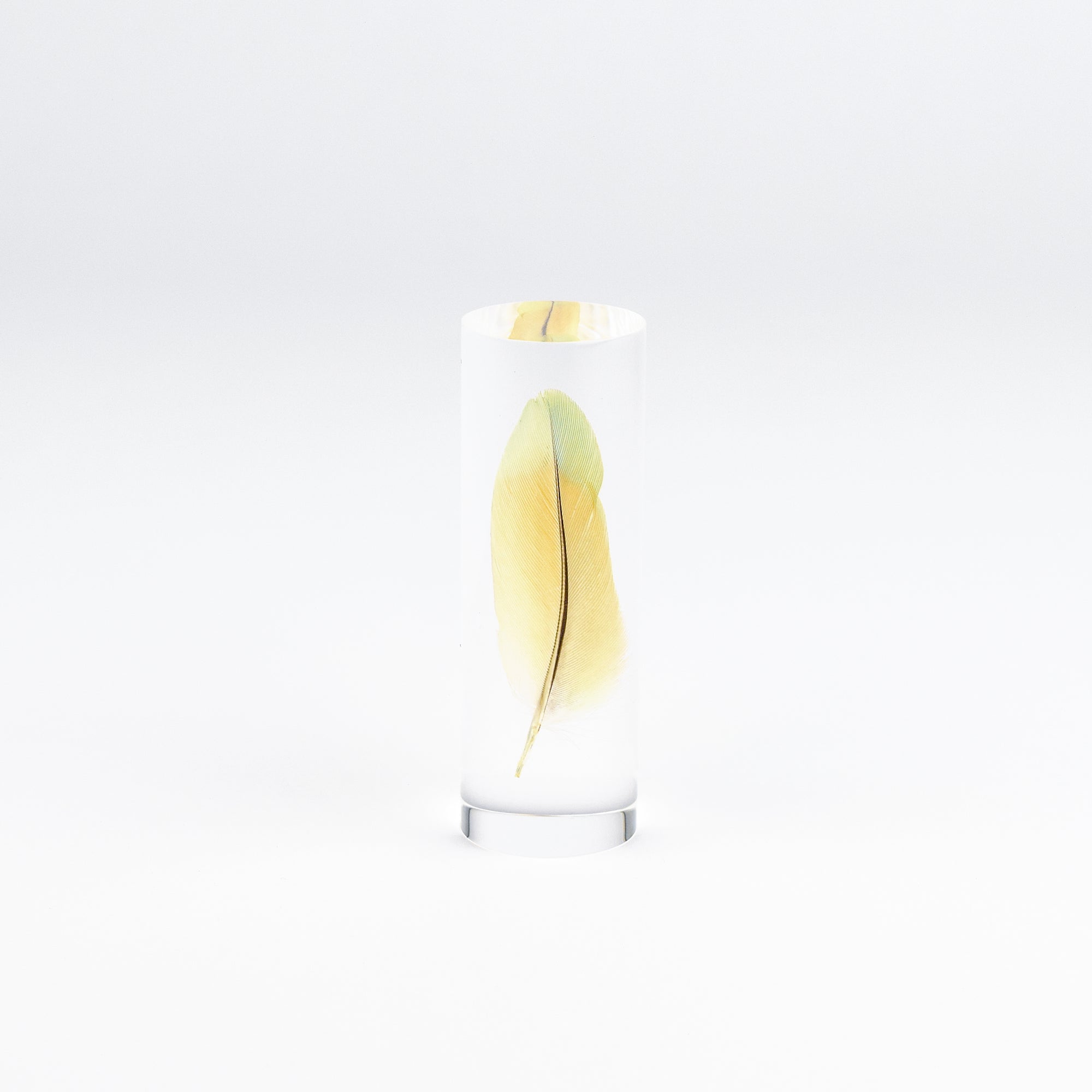 Sola Cylinders - Feathers