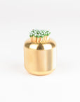 Knurled Match Striker Brass