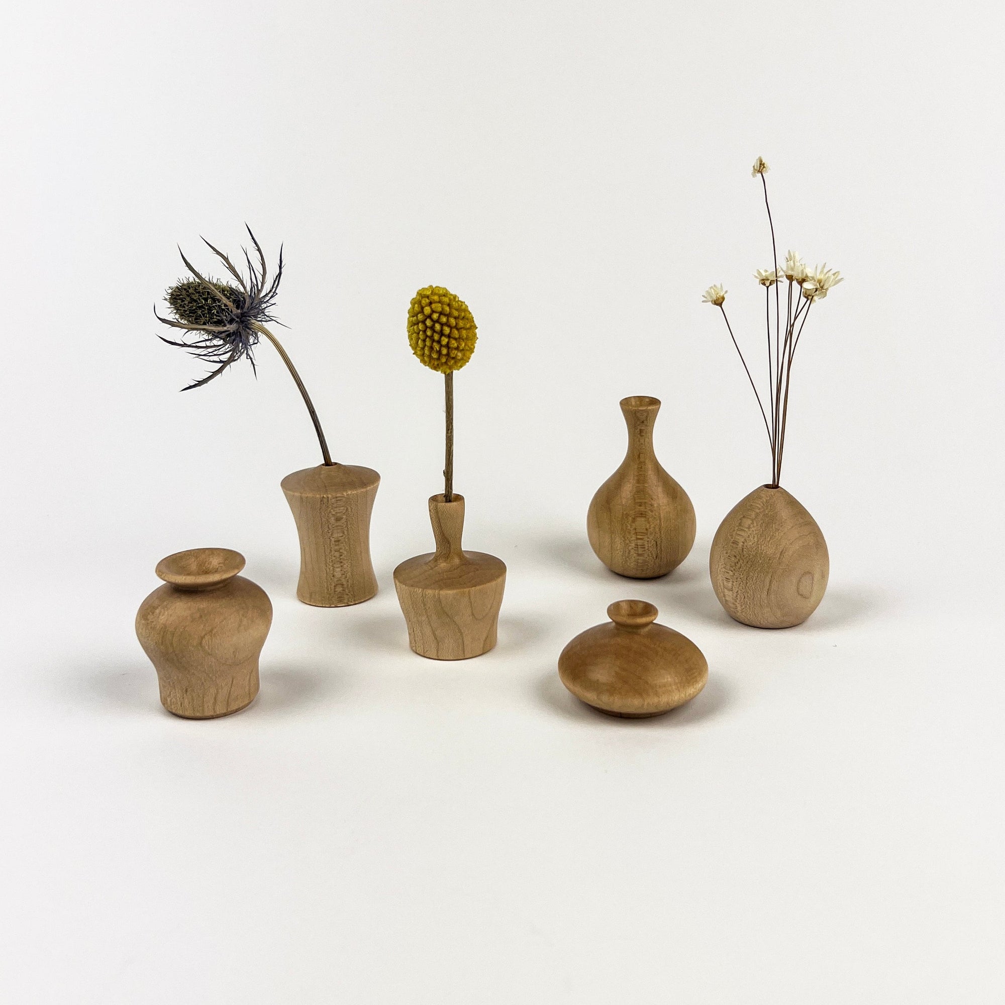 Set of small wooden vases with dried plants on a white background