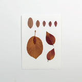 Leaf Card