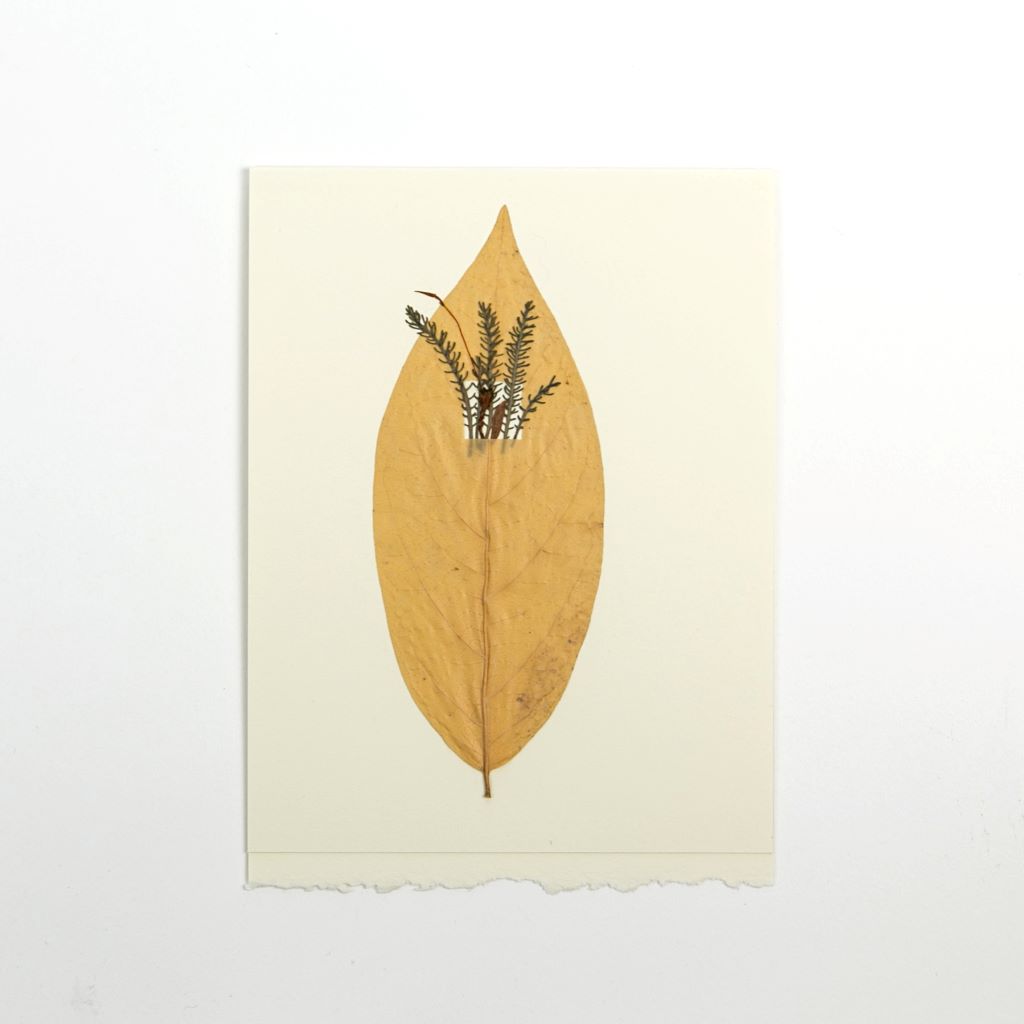 Leaf Card