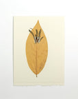Leaf Card