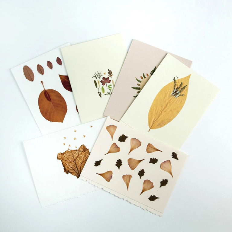 Leaf Card – Canoe