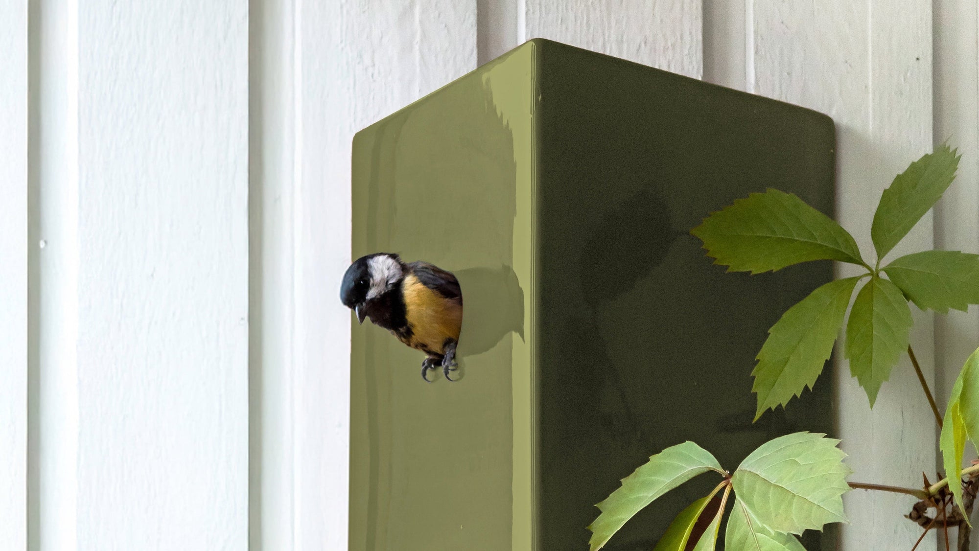 Green birdhouse on a white wooden wall with a bird perched on it