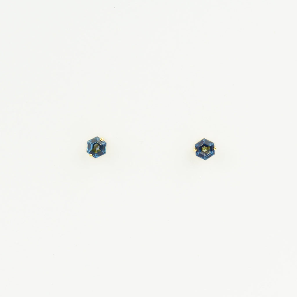 Two blue earrings on a white background