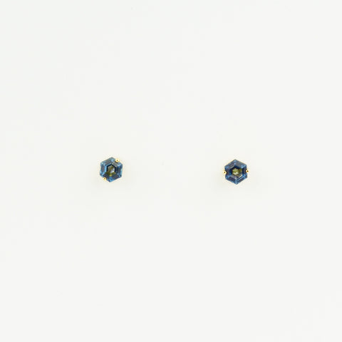 Two blue earrings on a white background