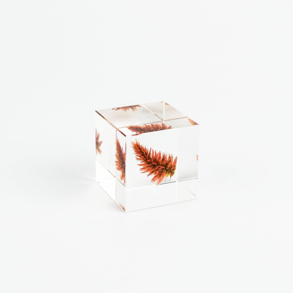 Clear cube with floral design on a white background