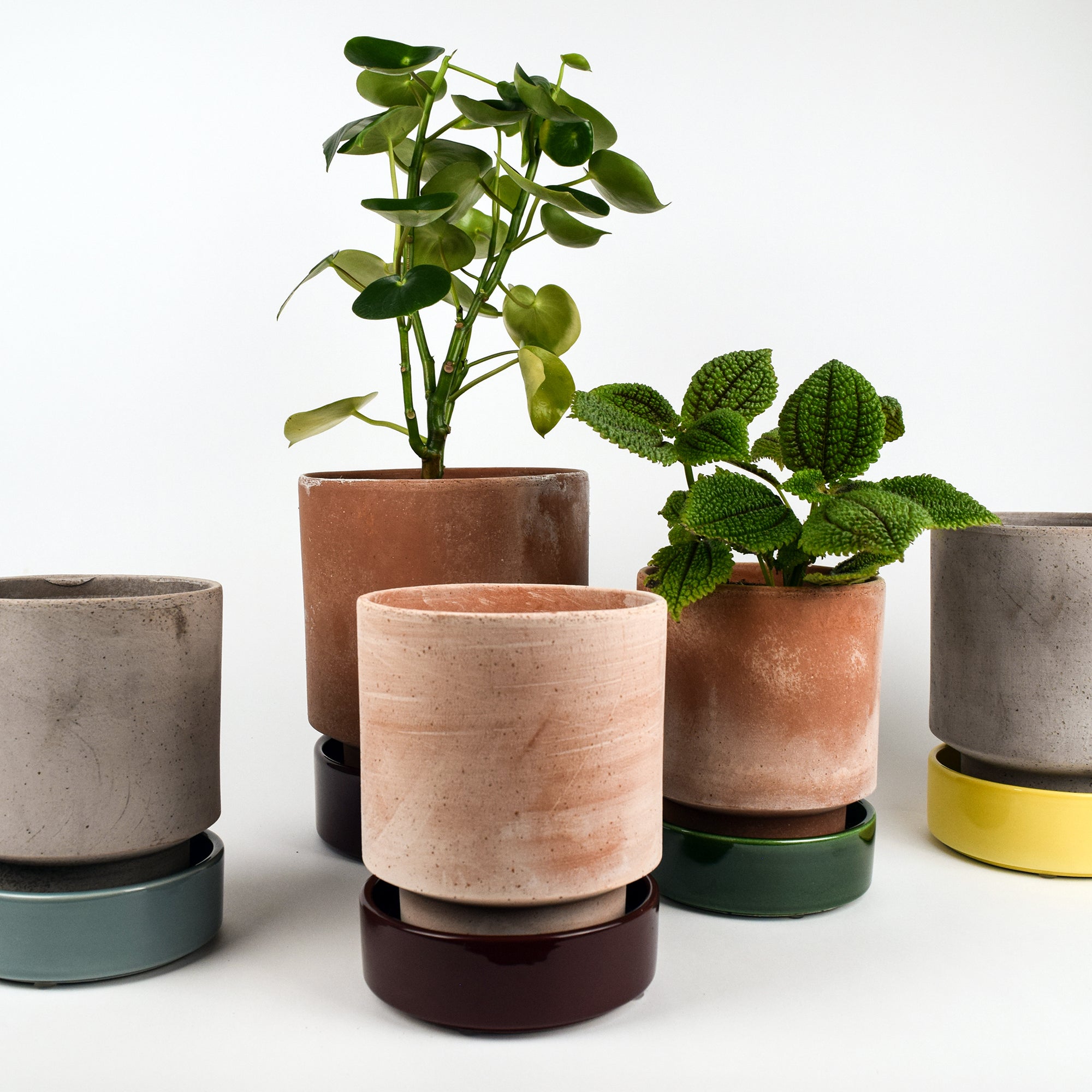 pot planter with saucer Hoff Planter & Saucer - 5.5" Ø