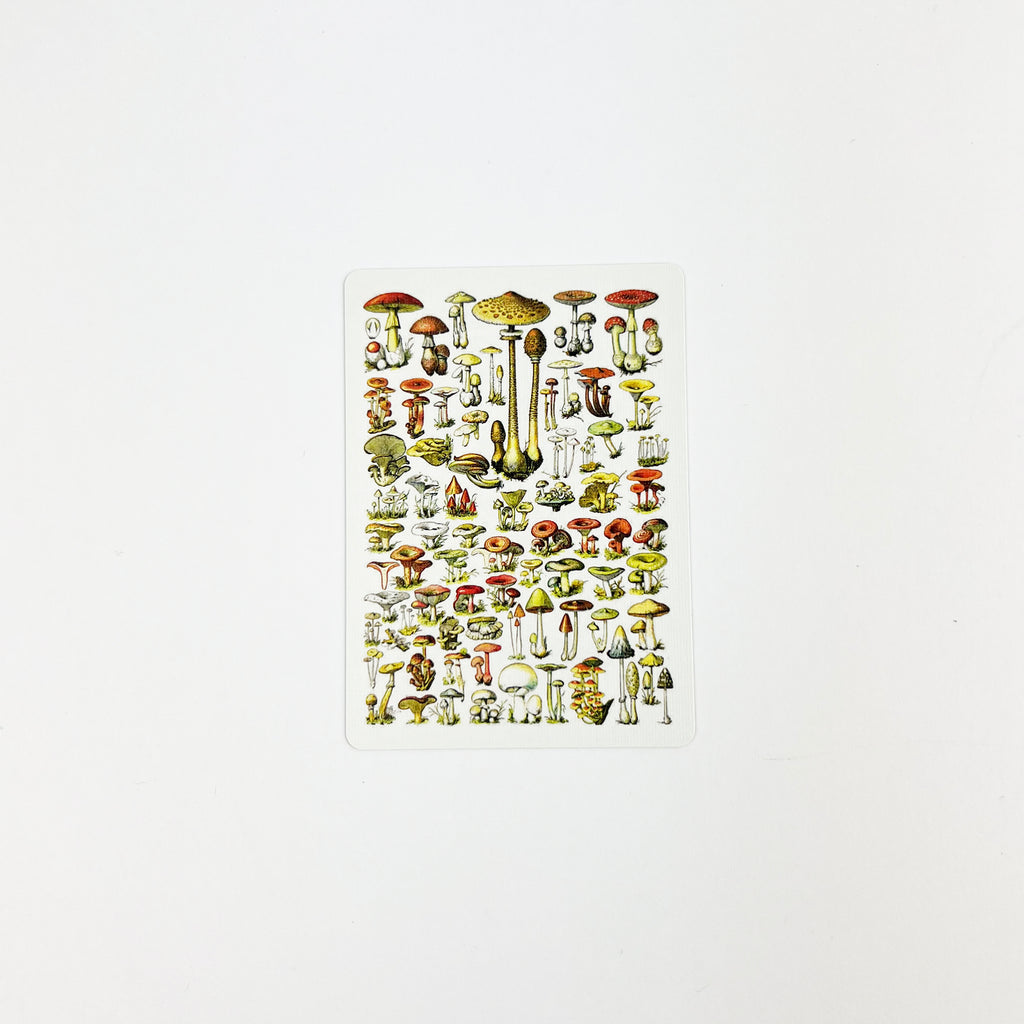 Mushroom Playing Cards