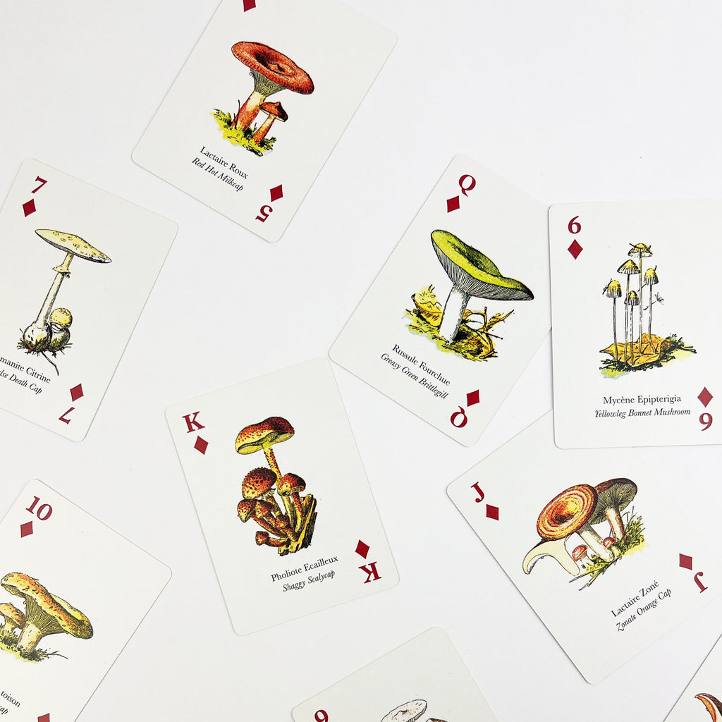 Playing cards with mushroom illustrations on a white background