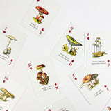 Playing cards with mushroom illustrations on a white background